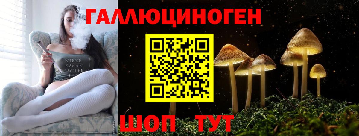 Гусь-Хрустальный  Галлюциногенные грибы Psilocybe  Вход с VPN 